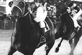 История скачек на лошадях