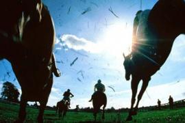 Селекция скаковых лошадей