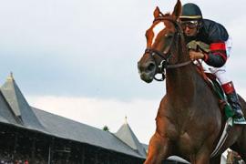 Термины на скачках