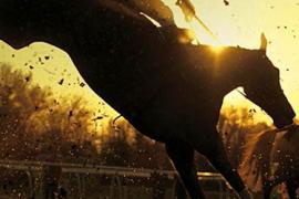 Пожизненный выигрыш