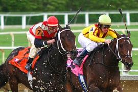 Влияние ипподрома на успех лошади