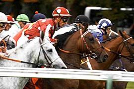 Как возникли дерби