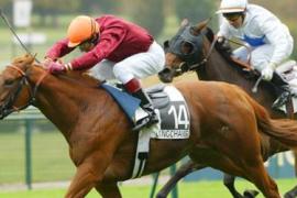 Короли и скачки