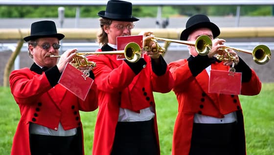 Короли и скачки!