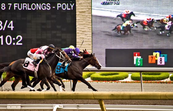 Короли и скачки!