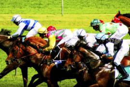 Самые известные лошадиные скачки