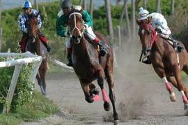 Дубайский клуб