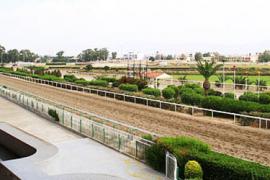 Развитие конного спорта на Кипре