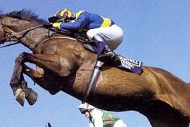 Скачки с препятствиями Steeplechase Racing