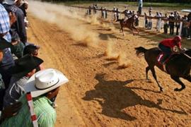 Quarter Horse racing четверть мили