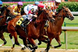 Плоские скачки