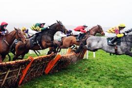 Hurdling  состязания в скачках