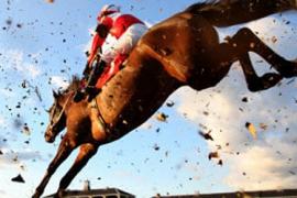 Состязания на дистанцию в скачках