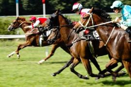 Гандикап Handicap