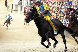 Maiden Claiming Races