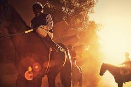 Виды скачек