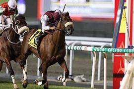 Кубок мира в Дубае