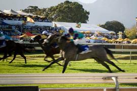 Стратегия за и против фаворита