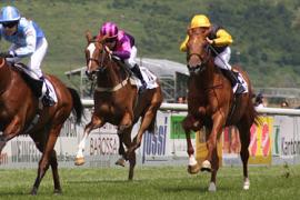 Стратегия Вилки в скачках