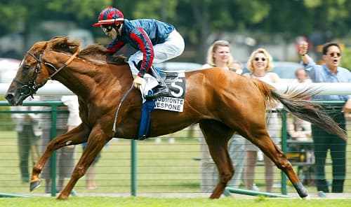 Участник Гран При де Пари