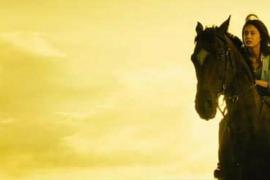 Кубок Японии Japan Cup