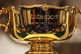 Келтенхэмский золотой кубок Cheltenham Gold Cup