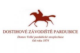 Скачки Velka Pardubicka