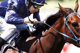 Doncaster Mile в Сиднее