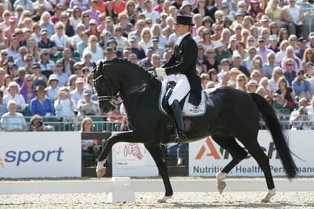 Участник CHIO AACHEN - 4