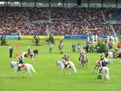 Участники CHIO AACHEN - 1