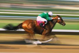 стратегия на лошадиных скачках