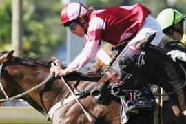 Скачки в России