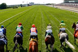 Стратегия ставок на скачки против