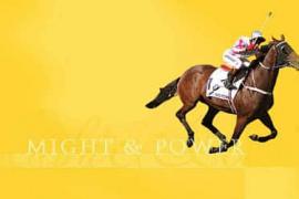 Сокращения и условные обозначения в скачках