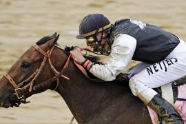 Стратегия Тренер  Жокей