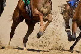 Вид ставок Exacta в лошадиных скачках