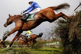 Виды ставок на лошадиные скачки