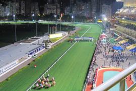 Виды ставок на ипподромах