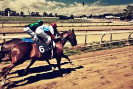 Виды покрытий треков для скачек