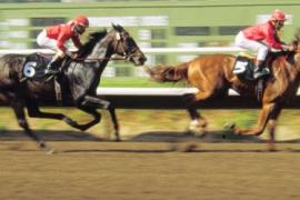 Популярные скачки в Англии