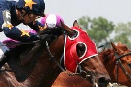 Стратегии ставок для National Hunt Racers