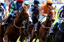 Критерии для ставок на скачки