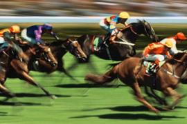 Голландская Стратегия ставок на скачки