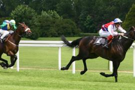 Стратегия ставок  Фаворит и аутсайдер