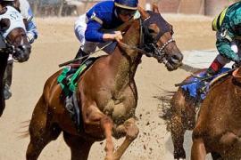 Стратегия ставок на скачки Тройка лошадей