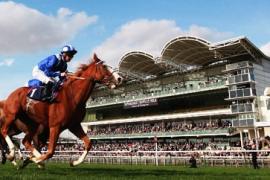 Где проводятся лошадиные скачки