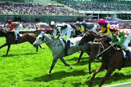 Где делать ставки на скачки