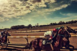 Курс обучения лошадиным скачкам