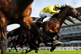 Стратегии на лошадиных скачках