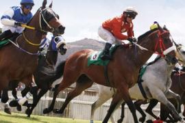 Известные стратегии в скачках